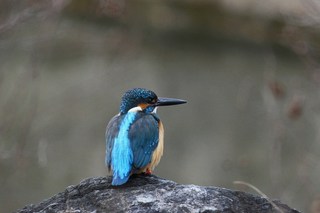 Clickで拡大表示