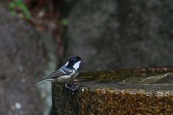 Clickで拡大表示