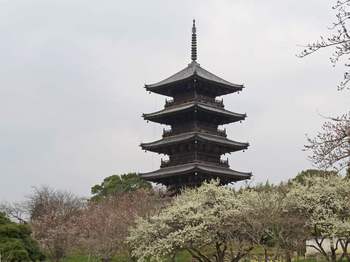 Clickで拡大表示